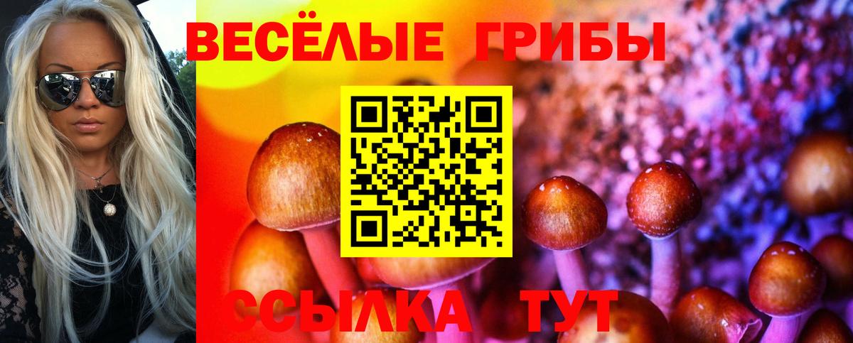 Галлюциногенные грибы Cubensis Кыштым