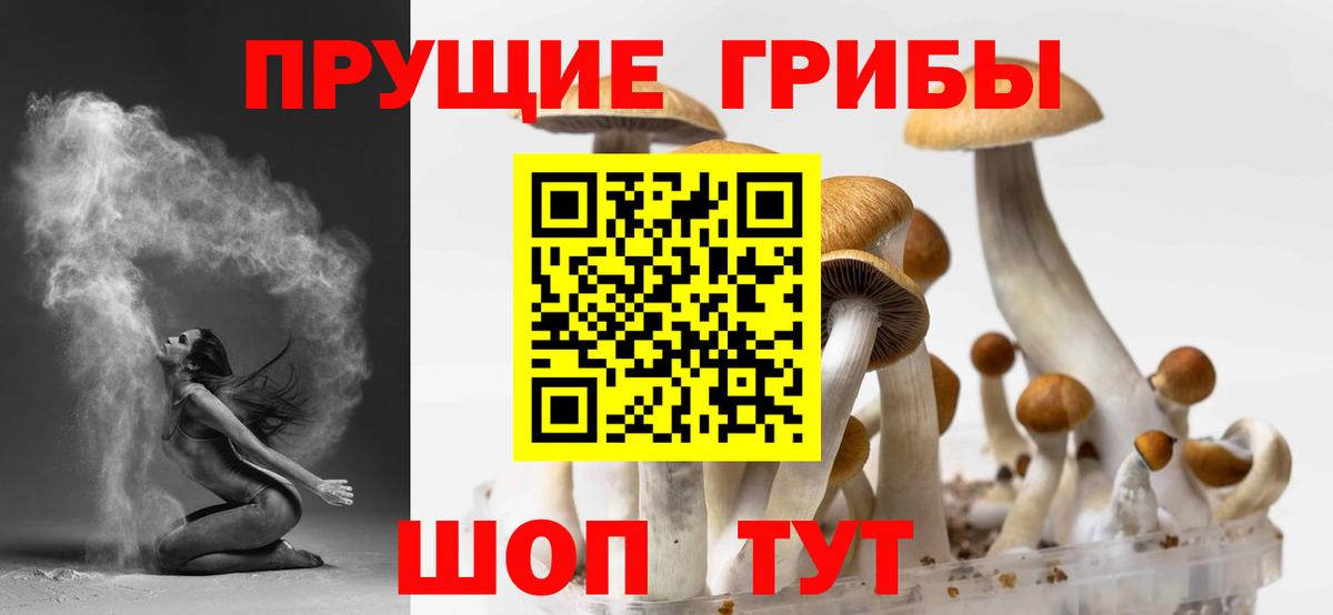 Галлюциногенные грибы Psilocybine cubensis  Псилоцибиновые грибы Cubensis  Вход с VPN  Кыштым 